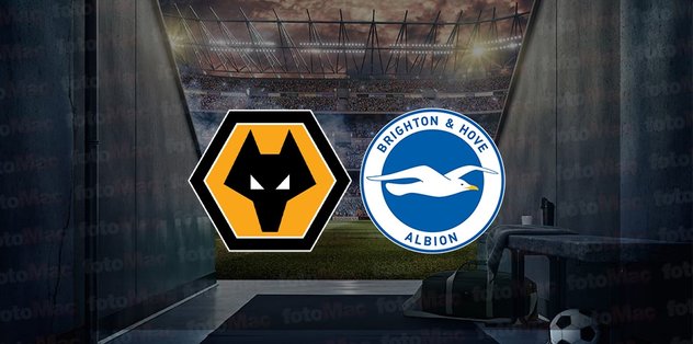 Wolverhampton – Brighton maçı ne zaman, saat kaçta ve hangi kanalda canlı yayınlanacak? | FA Cup